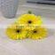 Fresh Cut Flower Of Stem 45-60 cm Gerbera Popular Wholesale