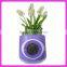 Promotion Gift Beautiful Flower Pot Electronic Digital Clock