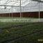 Anti-fog and UV-protection 100% virgin material polycarbonate Green house