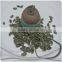 Best Selling Products Types of Dark Green Pumpkin Seeds Kernel Pumpkin Seeds GWS