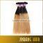 2016 Express  100% Human Remy Brazilian Two Tone Ombre Hair Weft Silk Straigt Brazilian Hair Weft