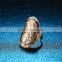 Less than 1 dollar jewelry zinc alloy metal gold finger ring without stone