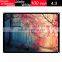 Hot selling simpl matte white 100 inch make a projector screen
