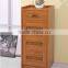 New cheap PVC shoes cabinet with CE certificate