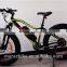 750W Fat Tire Snow Beach Electric Bike