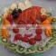 Plastic Serving Tray, Kiwi Fruit Plastic Trays, Plastic Bird Cage Trays