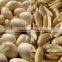 Advance Good Performance Peanut Roasting Blanching Production Line