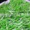 artificial flower, handmade decoration flower, artificial flower making factory,H-27