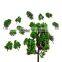 Architectural mode tree, scale model trees, model family tree, plastic model tree,2015 new,MT-09