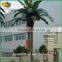 Outdoor artificial coconut palm tree customized artificial coconut tree