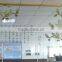 environmentally friendly UV printed for office decoration glass printing acrylic printing