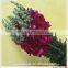 kunming supplier purple light color fresh cut flowers antirrhinum for newyear