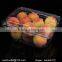 export transparent plastic fruit storage box