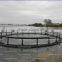 nylon knotless wear resisting longlife aquaculture fishing net for sea culture