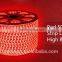 Red Color Rope Light DIY Flexible Strip Light 110-220V IP67 5050 High Brightness