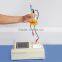 HZWS-2 Auto transformer oil moisture testiing equipment