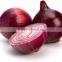 Hot sale fresh red onion with good quality for sale