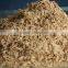 Vietnam Wood Chip