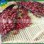 Chinese Small Red Kidney Beans(Adzuki beans)