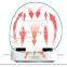 Family use air sterilizer deodorization like air confitioner