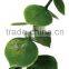 Special design artificial leaf fence for balcony