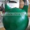 Colorful Competition Kettlebells