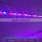 t8 blue/red led plant grow light tube 2ft 3ft 4ft t8 led grow light tube for indoor flowers