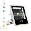 oval shape black frame 30w led flood light