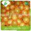 Fresh sweet honey pomelo fruit