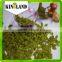 Promotional dried fruits green raisins