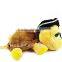 OEM/ODM Plush Turtle Toy for Ninja Standing on the Skateboard