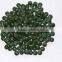 Spirulina Powder from GMP Certified Manufacturer