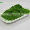 Dried Barley Grass Powder/ Wheat Grass Powder