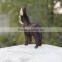 Simulated Furry Small Animal Toy Donkey