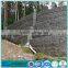 China Wholesale Stone Cage prices Hot Dipped Galvanized Gabion