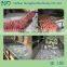 bubble fruit washing and drying machine