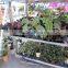 A56 flower pot garden center display show frames
