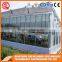 Multifunction large Venlo glass greenhouse for planting flowers