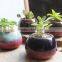 New christmas indoor decor glazed small succulent pot