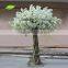 BLS1508 GNW Artificial wedding blossom tree with silk fake cherry flowers for party decoration 8ft High