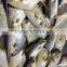 seafood display case gold pomfret