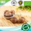2016 hot sale natural green food organic black garlic single bulb china