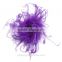 Wholesale Curly Ostrich Feather Puff Artificial Dress Up Hair Bow Clip for Accessories