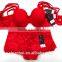 New design red fancy lace ladies sexy women panty and bra sets