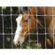 Galvanized field fencing for sale