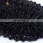 cheap and high quality 100 human hair afro kinky human hair