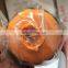 Common Rail Genuine PCV Valve 094040-0150