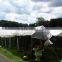 China factory pe tarpaulin for tent material