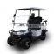 Electric Golf Cart Lifted Golf Cart with Lithium Battery and Curtis AC Controller