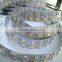 Underwater LED Strip light IP68 24 volt LED strip lighting